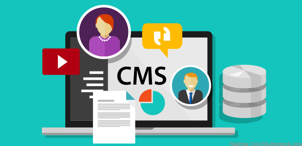 How Do You Pick The Right CMS For Your Business?